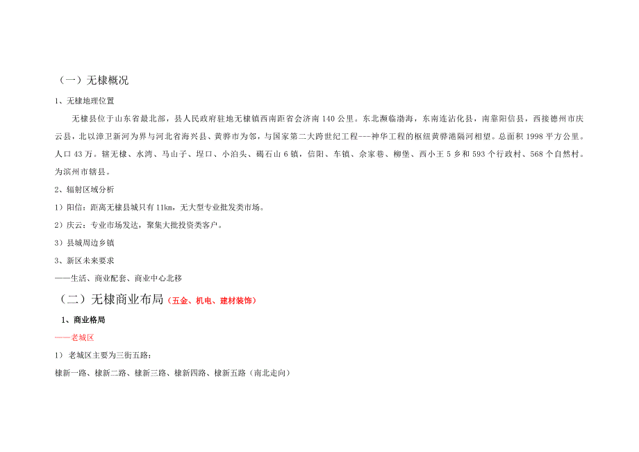 山东鲁北通力国际商贸城项目营销策略报告35页_第3页