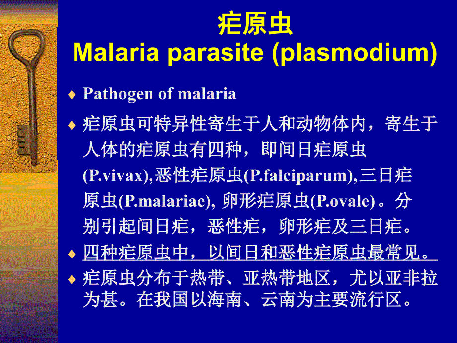 疟原虫MALARIAPARASITE_第2页