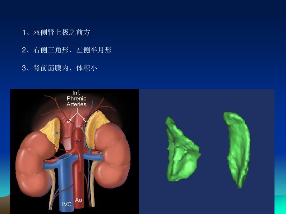 肾上腺常见肿瘤_第3页