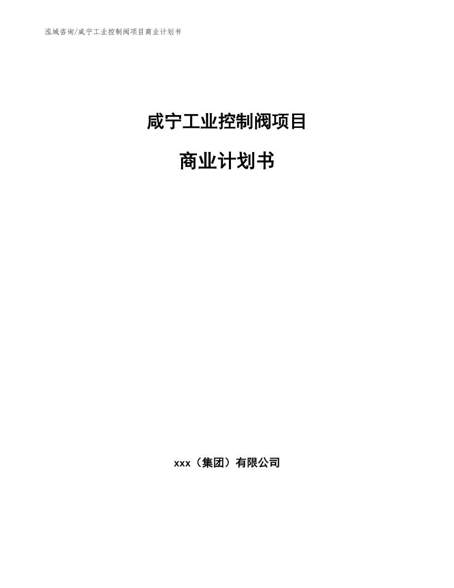 咸宁工业控制阀项目商业计划书_第1页