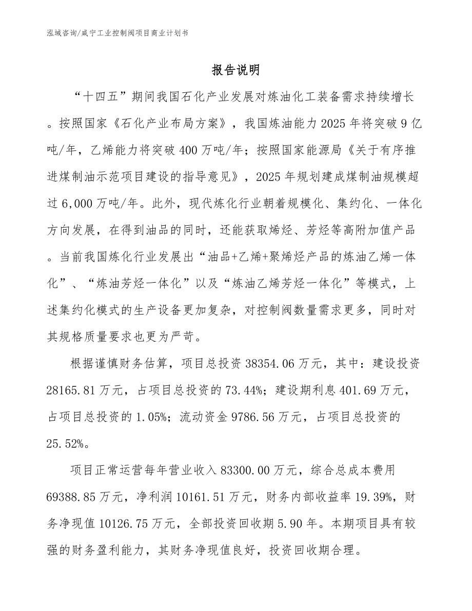 咸宁工业控制阀项目商业计划书_第2页