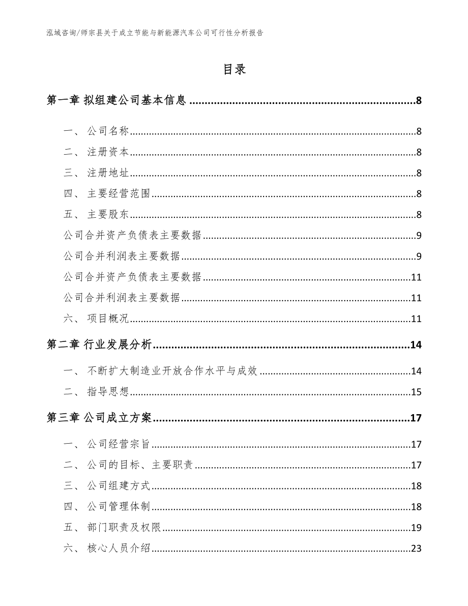 师宗县关于成立节能与新能源汽车公司可行性分析报告（模板参考）_第2页