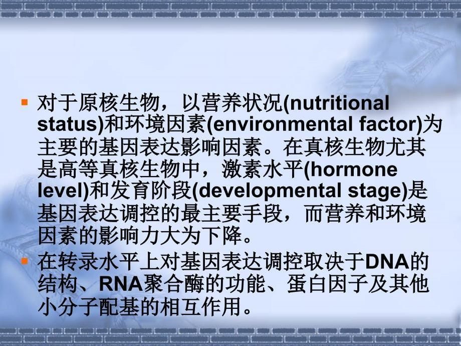 第七章原核生物基因的表达调控_第5页