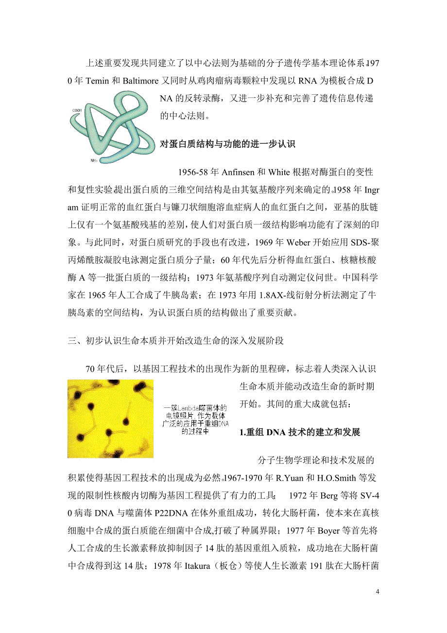 分子生物学发展简史.doc_第4页