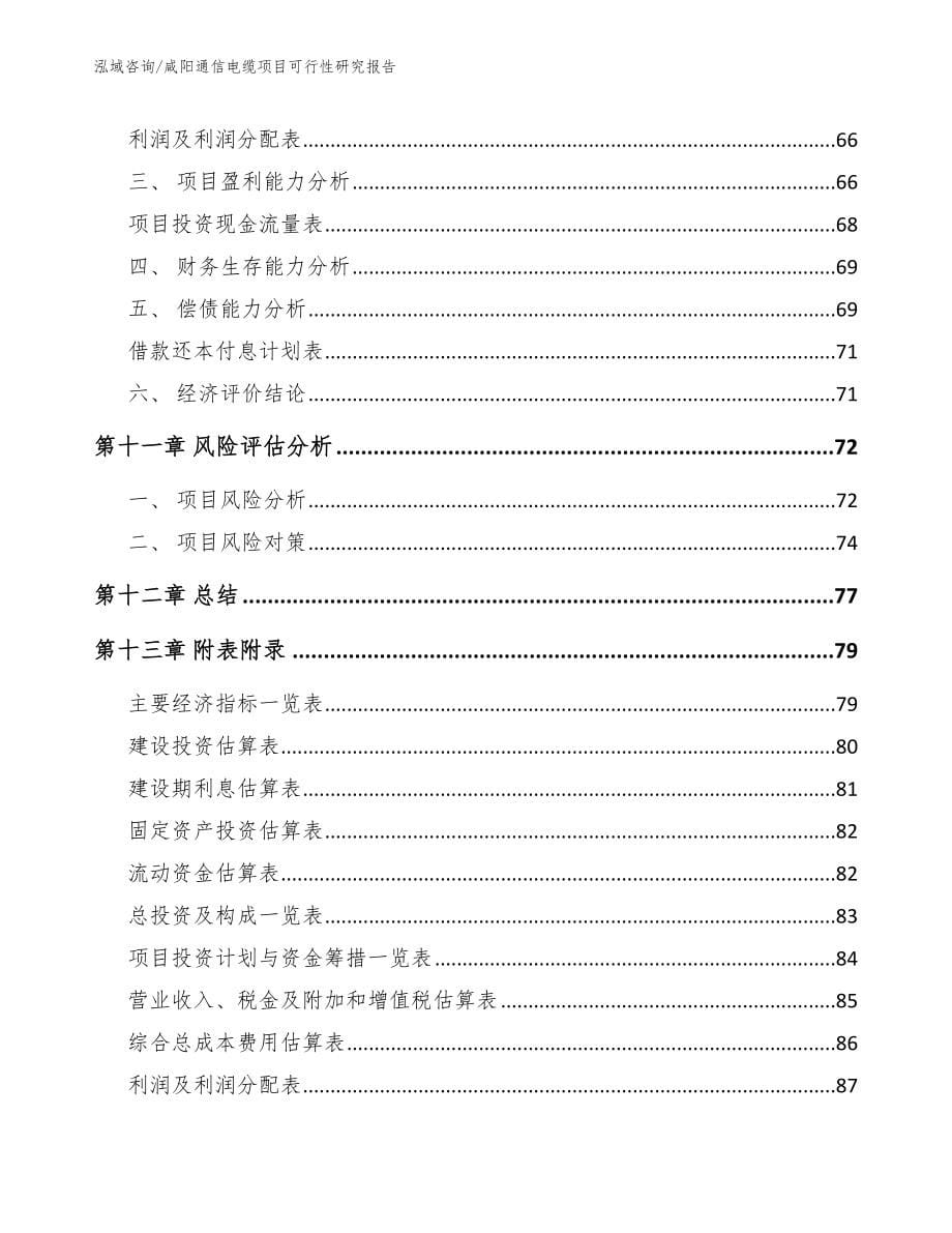 咸阳通信电缆项目可行性研究报告_模板_第5页