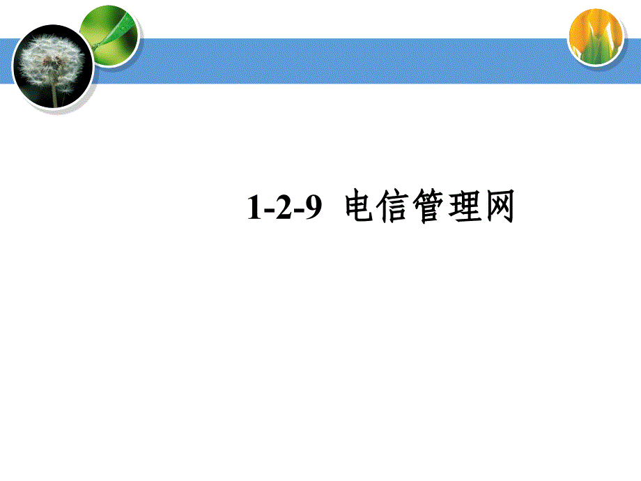 电信管理网知识点课件_第1页