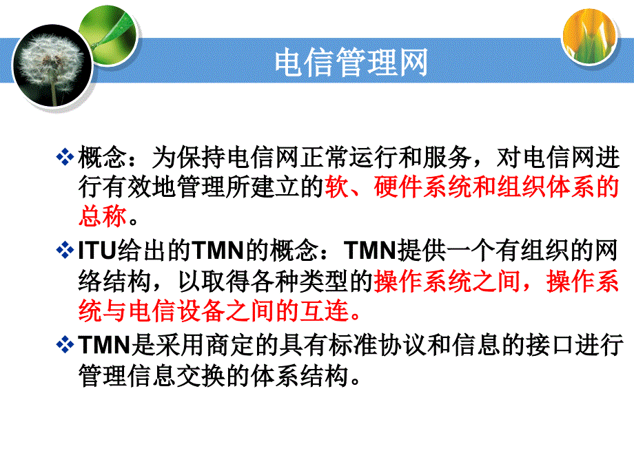 电信管理网知识点课件_第2页