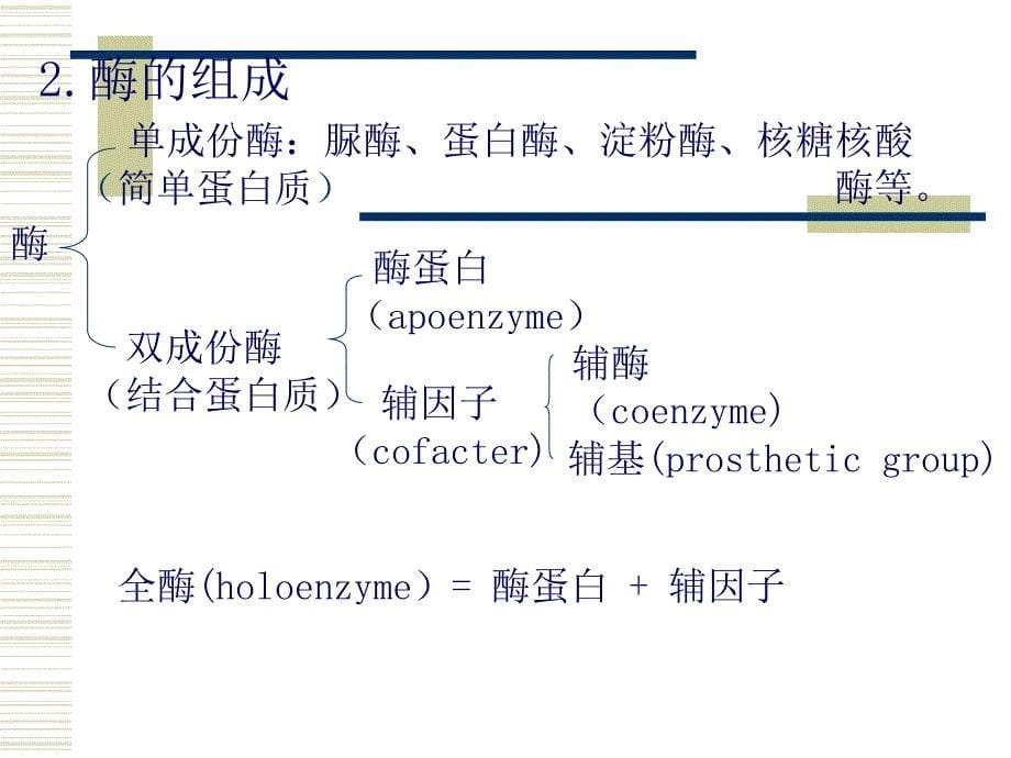 《酶生物化学》PPT课件_第5页