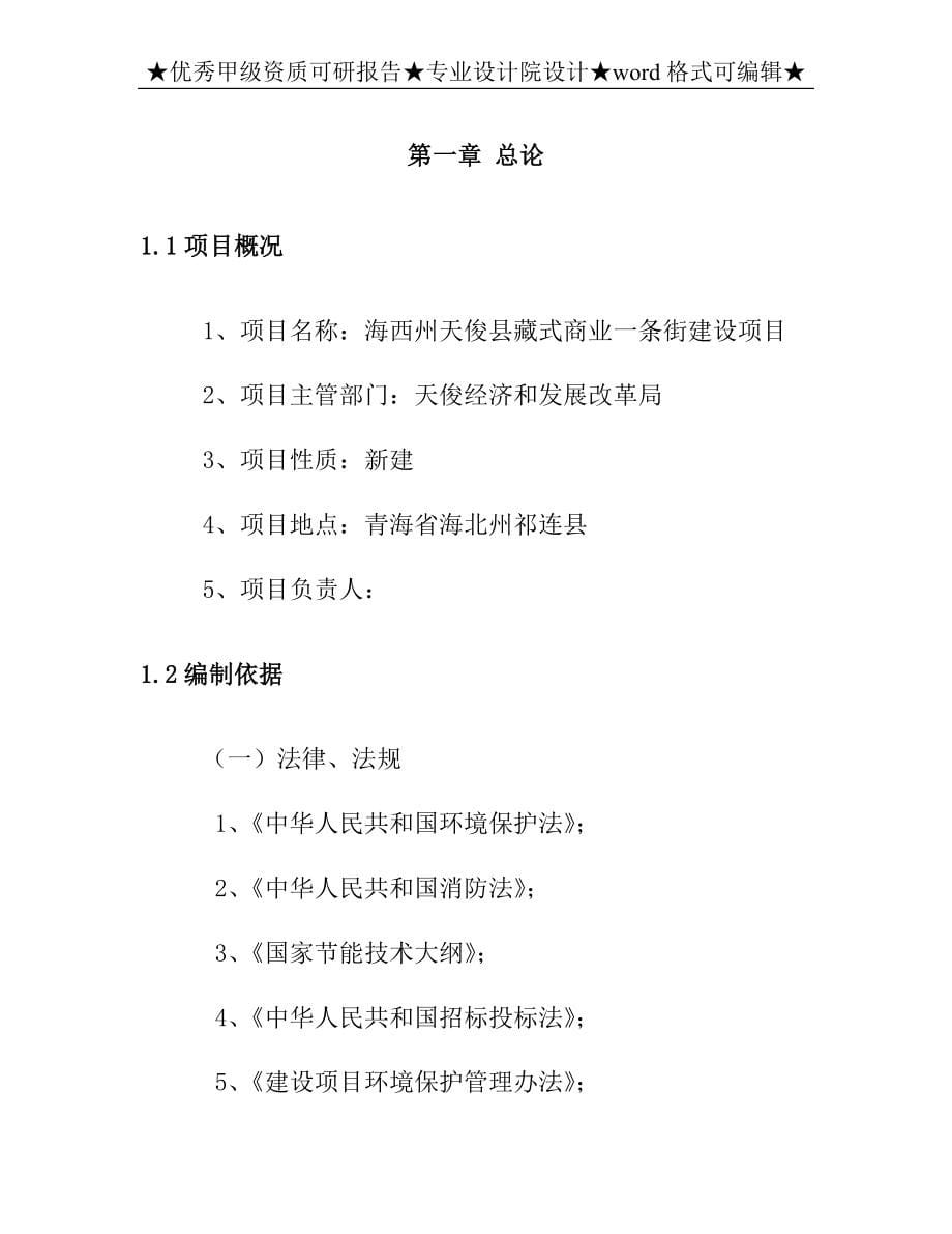 《海西州天俊县藏式商业一条街可行性分析报告》.doc_第5页