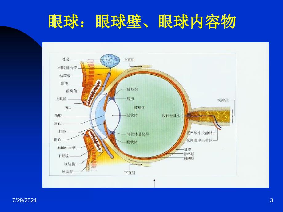 第一章科学基础_第3页