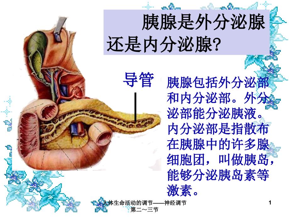 人体生命活动的调节神经调节第二三节课件_第1页