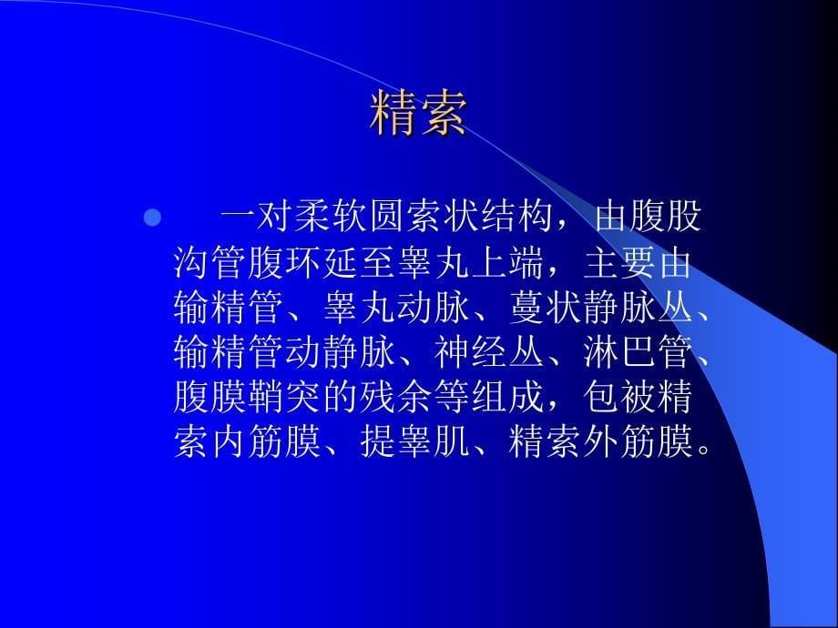 男性生殖系统超声.ppt_第5页