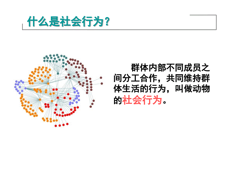 人教版八上生物社会行为.ppt_第3页