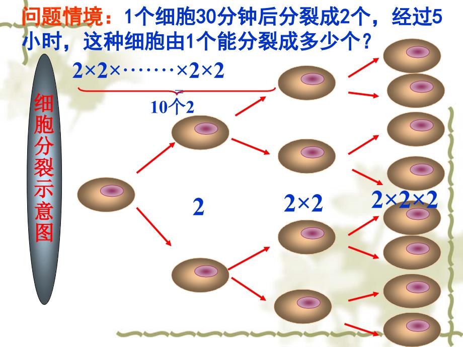 人教版七年级上册15有理数的乘方课件_第2页