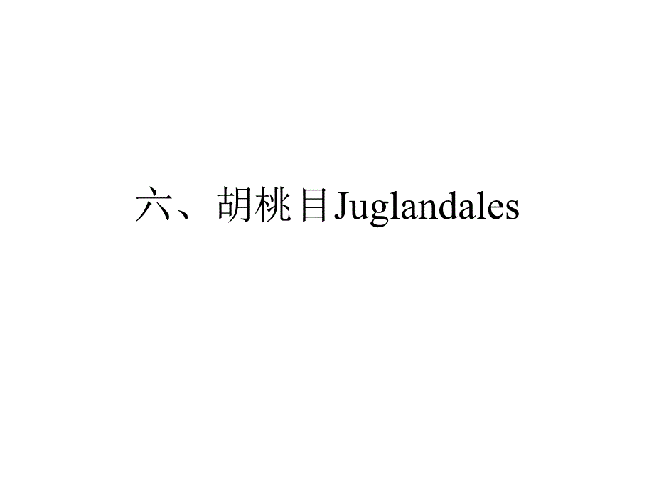 植物学教学课件：胡桃目Juglandales_第1页