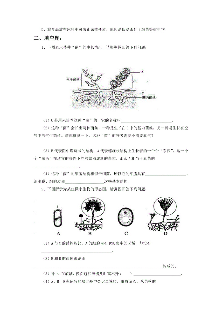 《第六节 细菌和真菌的繁殖》 习题1.doc_第2页