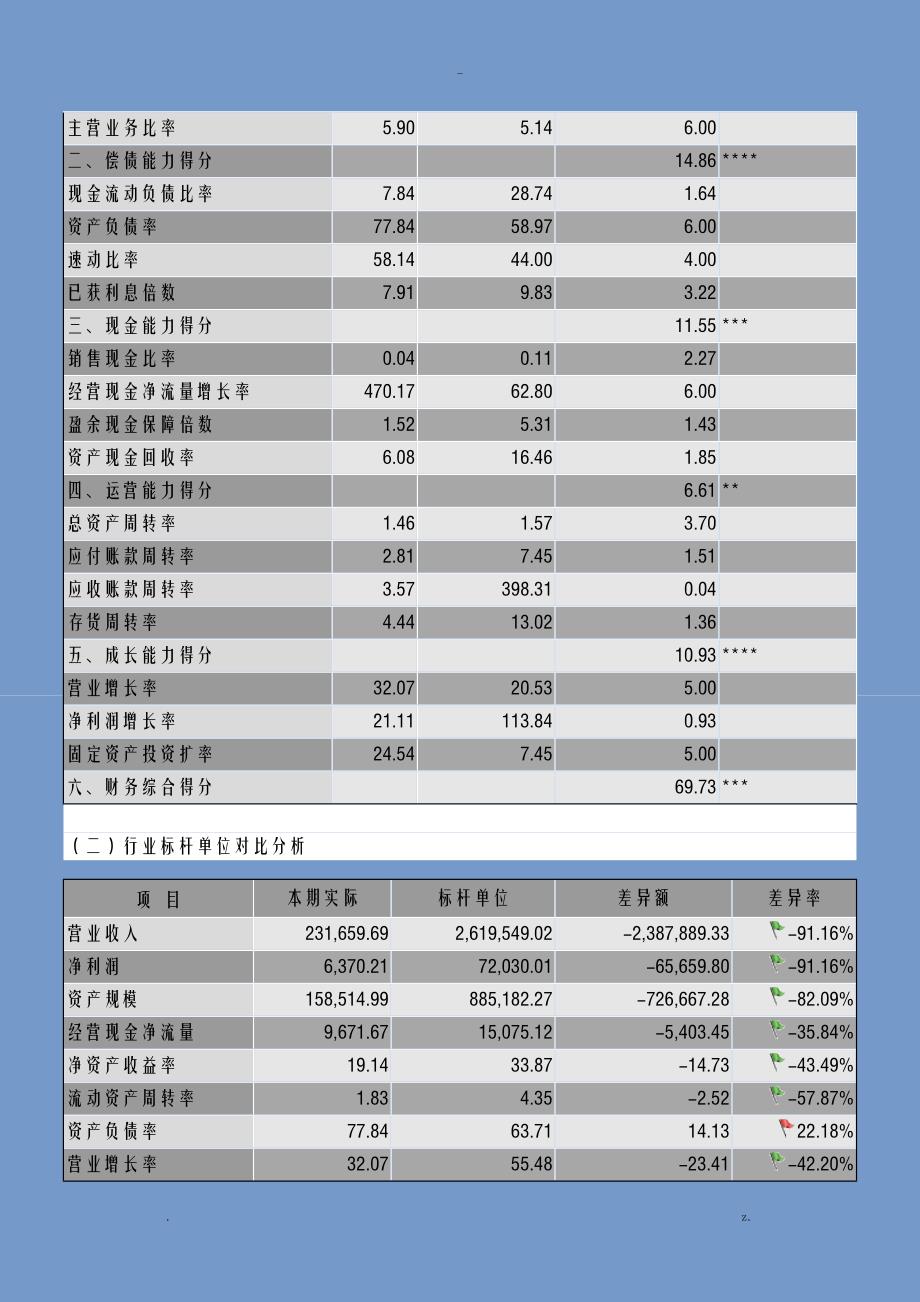 企业财务分析实施报告模板_第4页