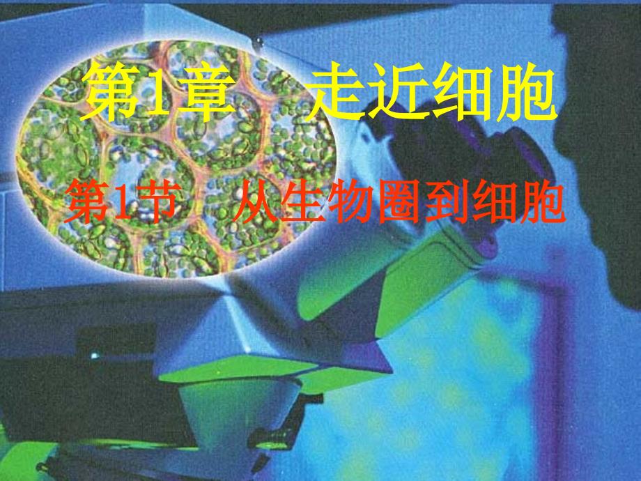 医学课件第1章走近细胞_第2页