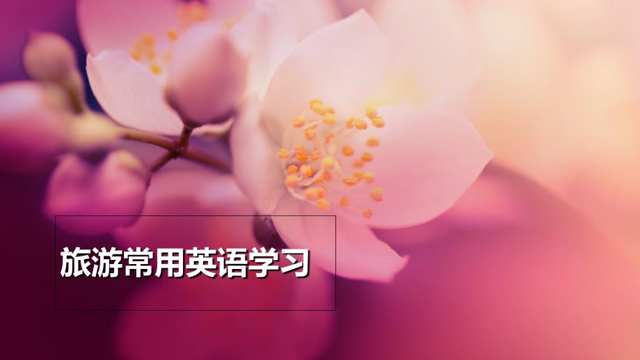 旅游常用英语学习课件_第1页