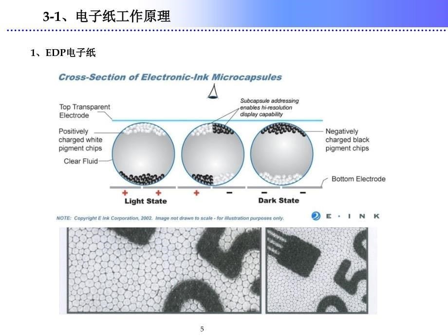 柔性显示技术简介课件_第5页