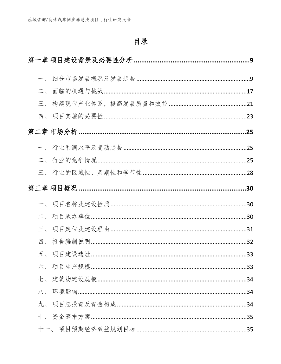 商洛汽车同步器总成项目可行性研究报告_第2页