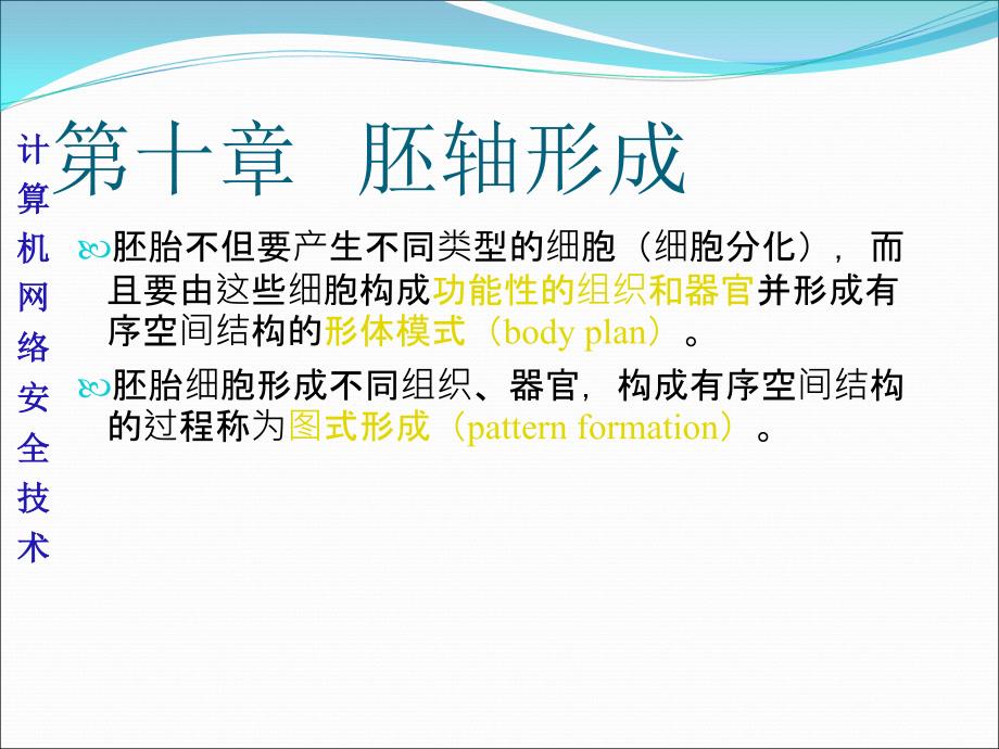 发育生物学第十章 果蝇的胚轴形成PPT课件02_第1页