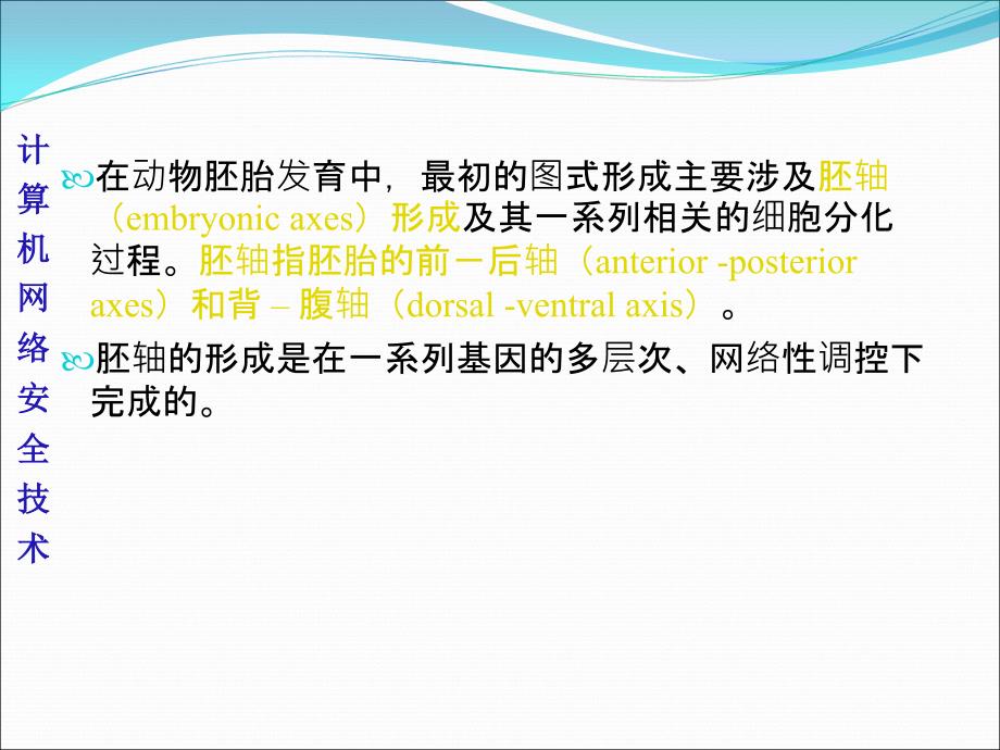 发育生物学第十章 果蝇的胚轴形成PPT课件02_第3页