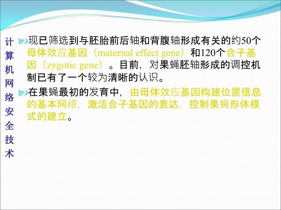 发育生物学第十章 果蝇的胚轴形成PPT课件02_第5页