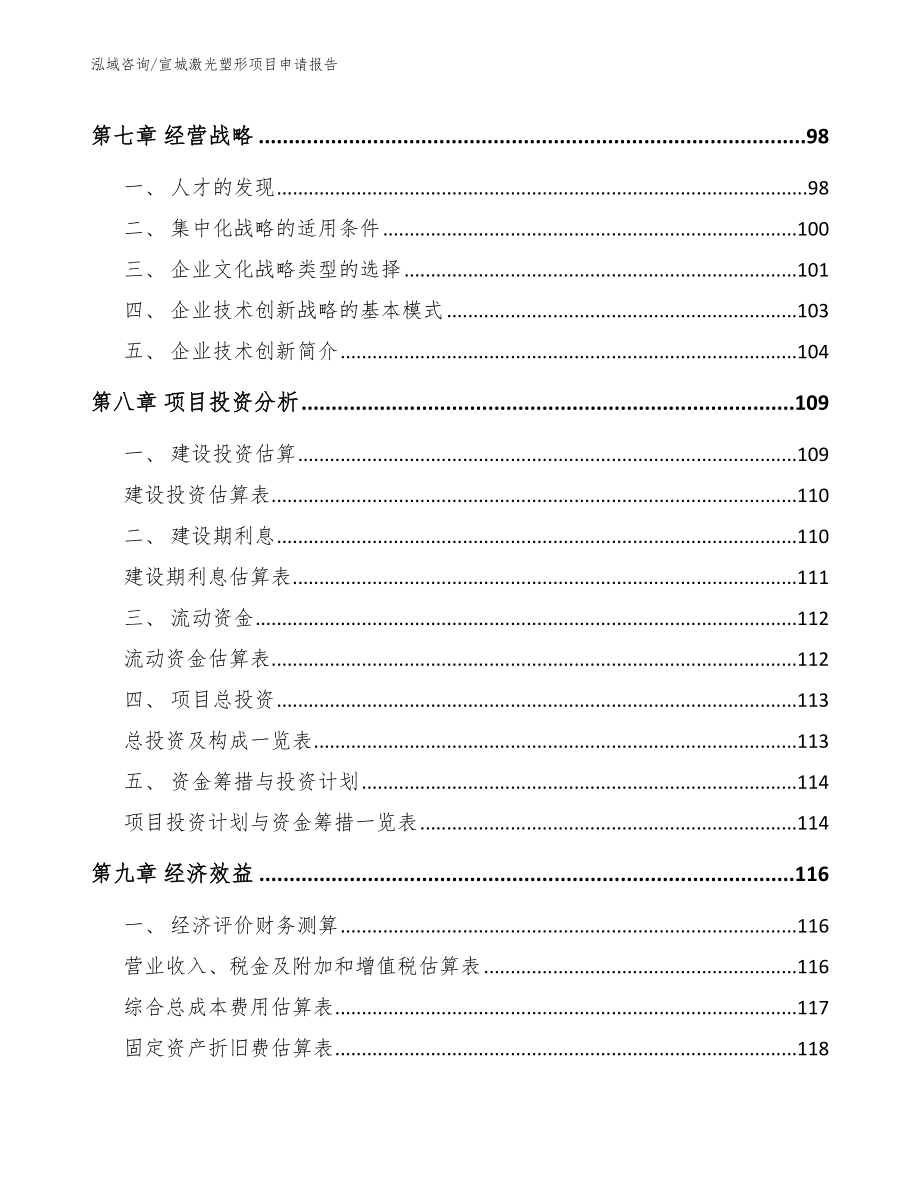 宣城激光塑形项目申请报告_第3页