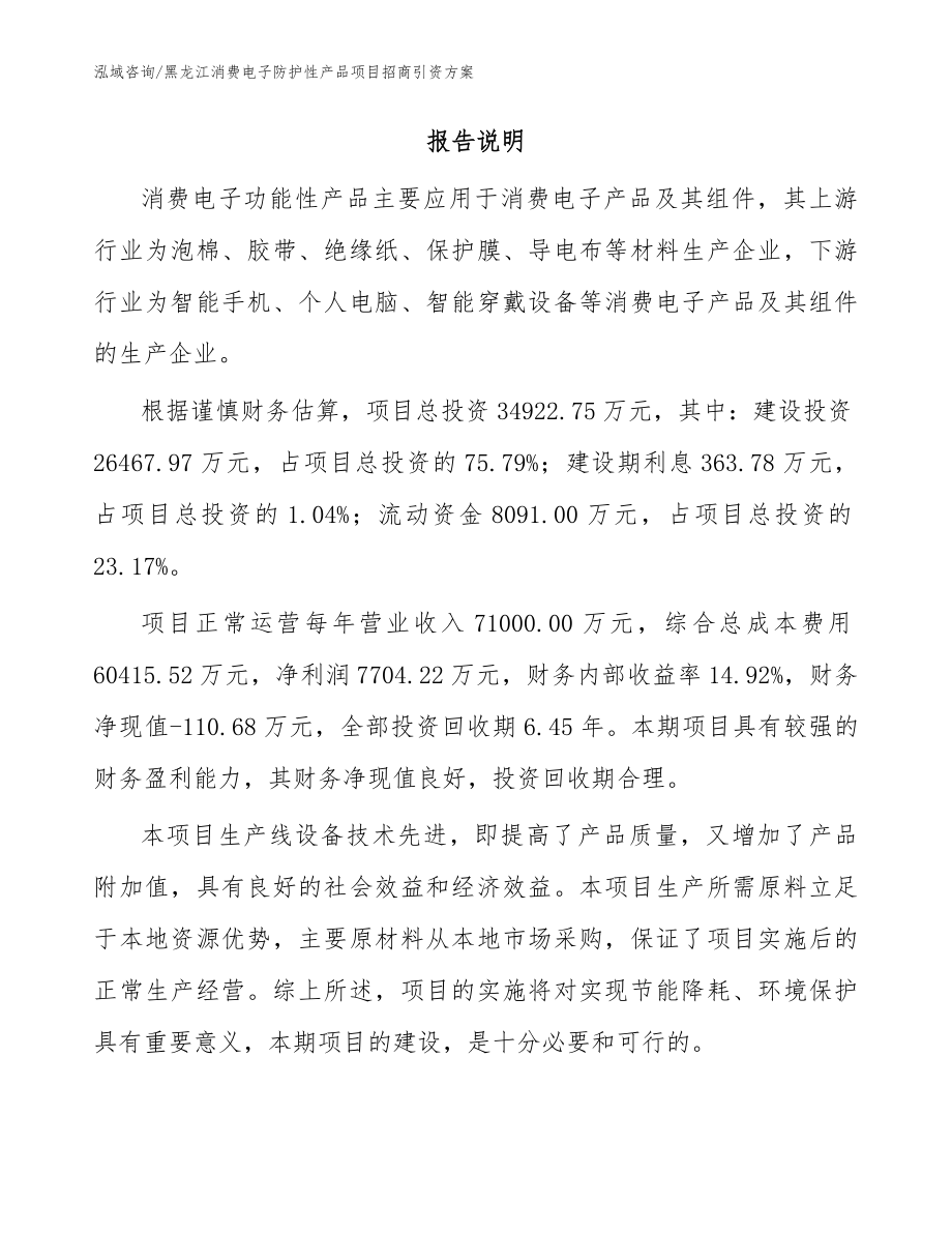 黑龙江消费电子防护性产品项目招商引资方案参考模板_第2页
