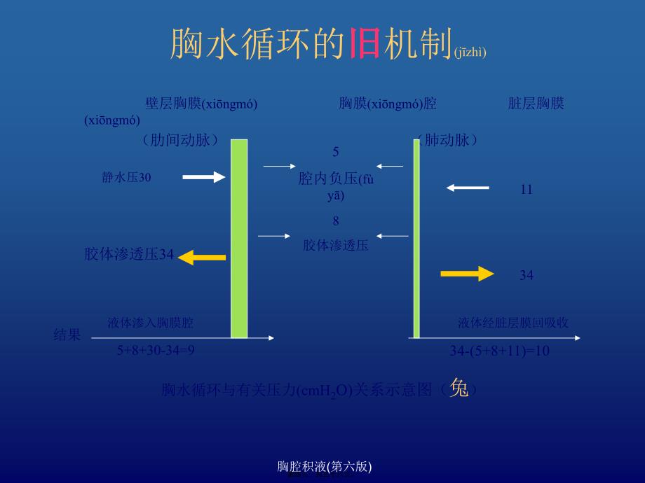 胸腔积液(第六版)课件_第4页