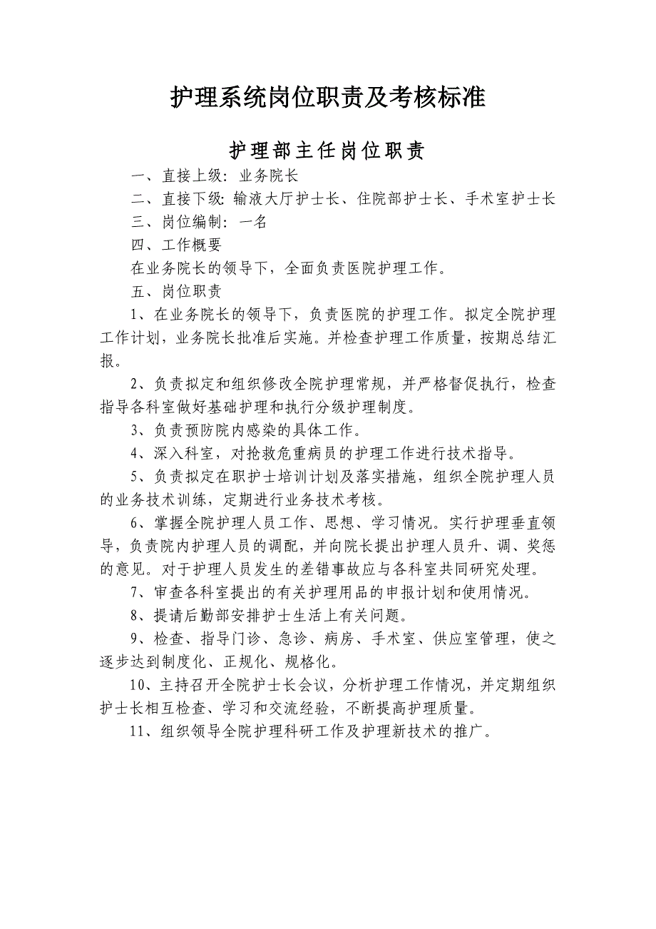 护理系统岗位职责及考核标准-Word-文档_第1页