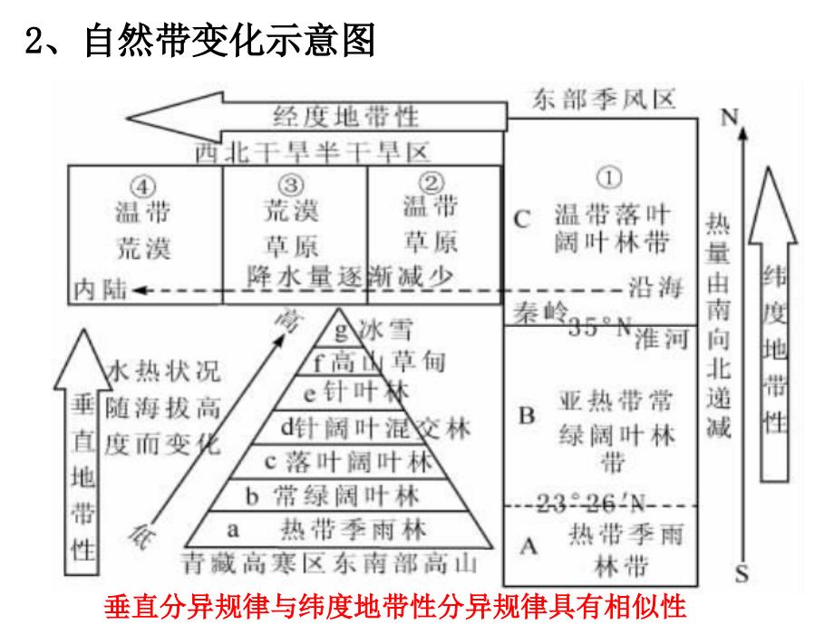 垂直差异性和非地带性分析课件_第3页