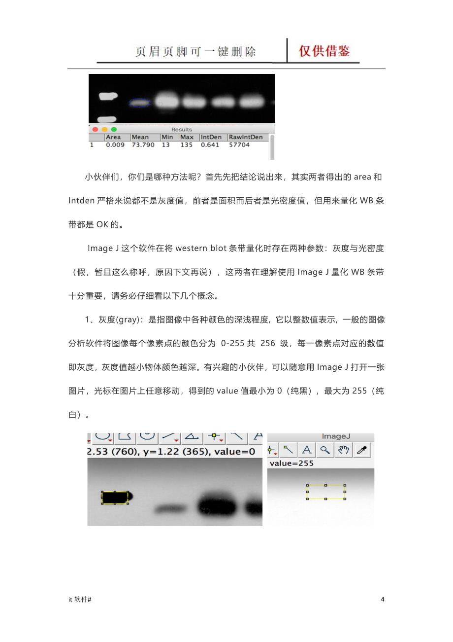 WB灰度值测定[谷风软件]_第4页