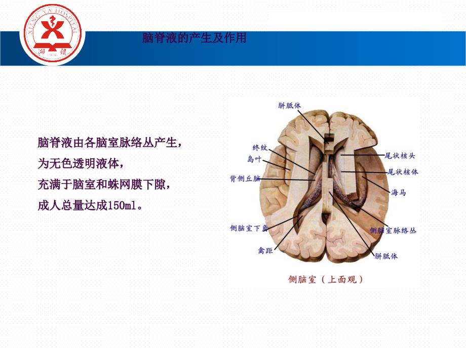 脑积水修改版ppt课件_第3页