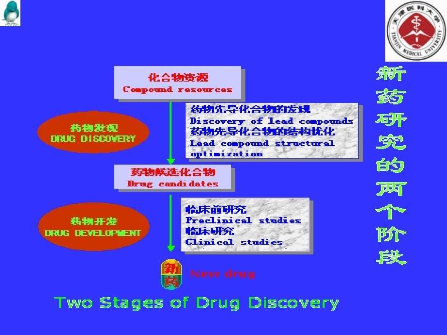 5新药设计与开发的基本途径和方法_第5页