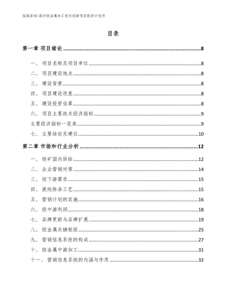 滨州钽金属加工技术创新项目投资计划书_模板_第2页