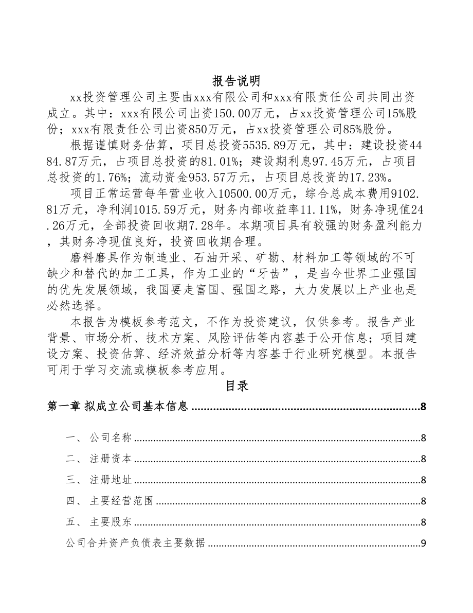 东莞关于成立抛光材料公司可行性报告(DOC 85页)_第2页