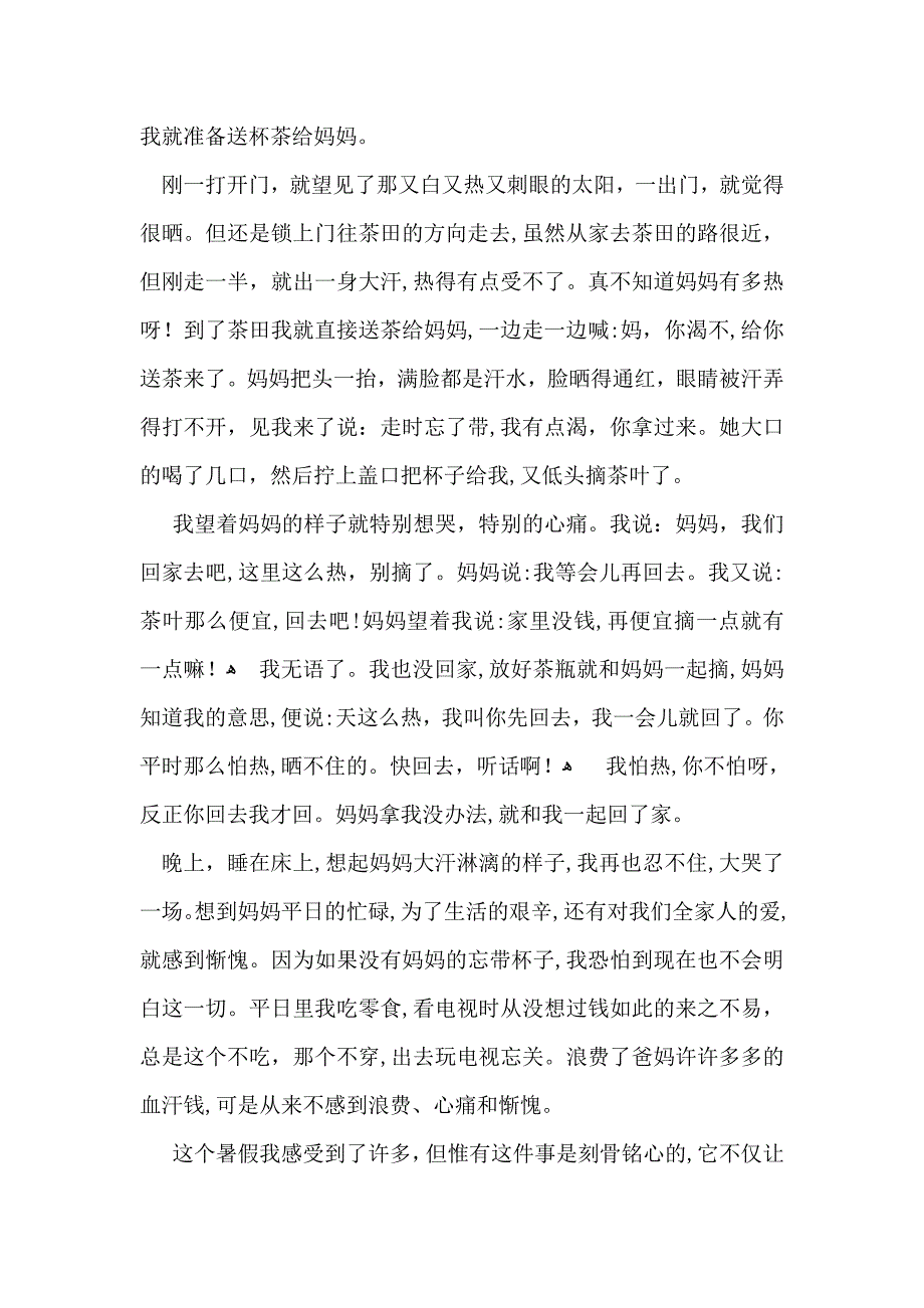 必备初二暑假作文集锦五篇_第4页