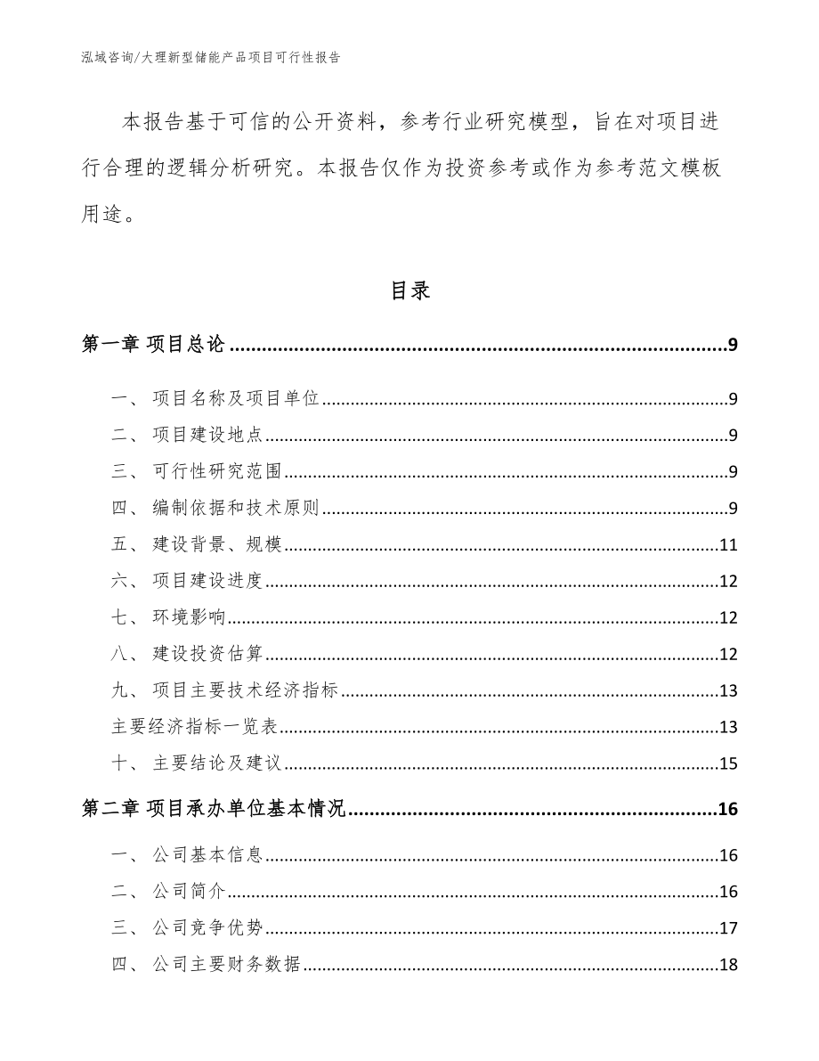 大理新型储能产品项目可行性报告（范文模板）_第3页