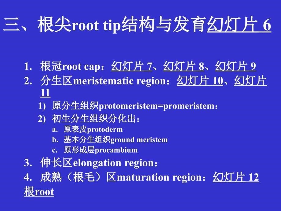 现代生物学(植物学理论部分)：5.root_第5页