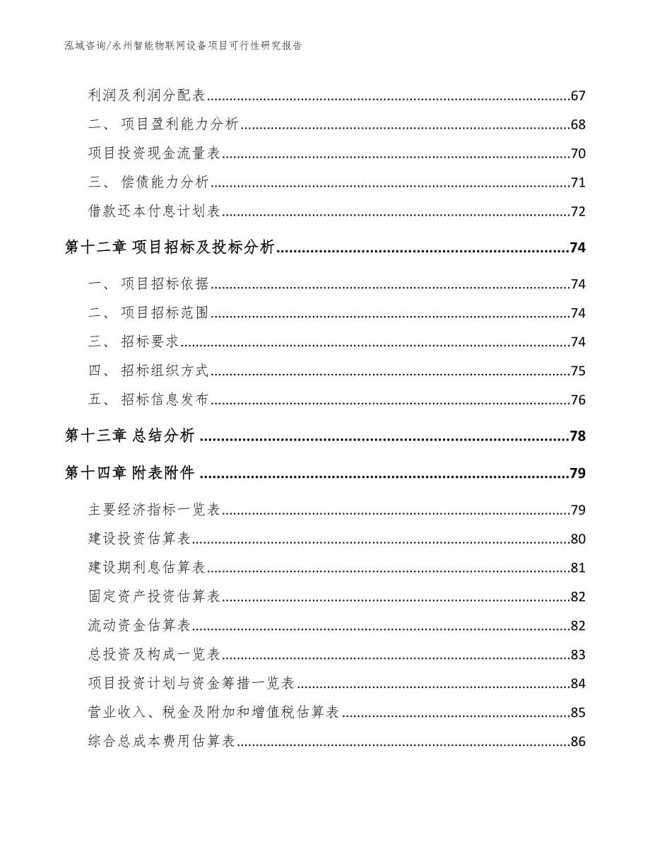 永州智能物联网设备项目可行性研究报告_第5页