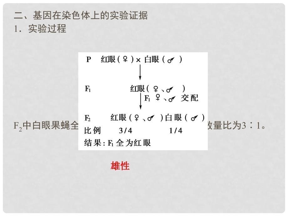 高考生物总复习 222、3基因在染色体上　伴性遗传配套课件 新人教版必修2_第5页