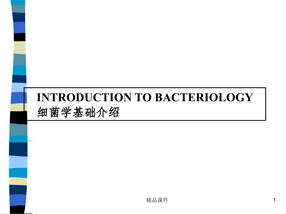 常见细菌分类精选课件_第1页