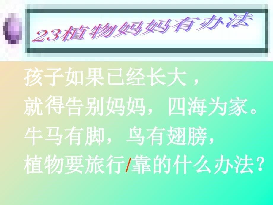 2022二年级语文上册植物妈妈有办法课件2冀教版_第5页