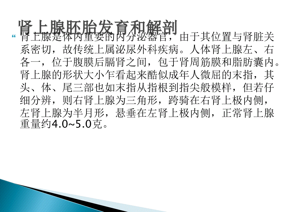 肾上腺肿瘤围手术期护理.ppt_第2页