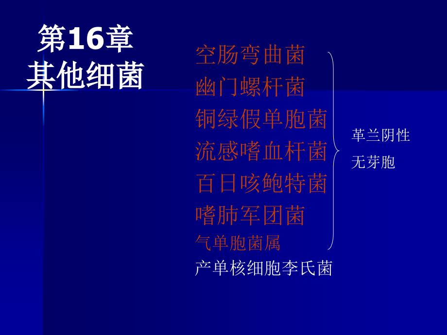 第16部分其他细菌名师编辑PPT课件_第1页