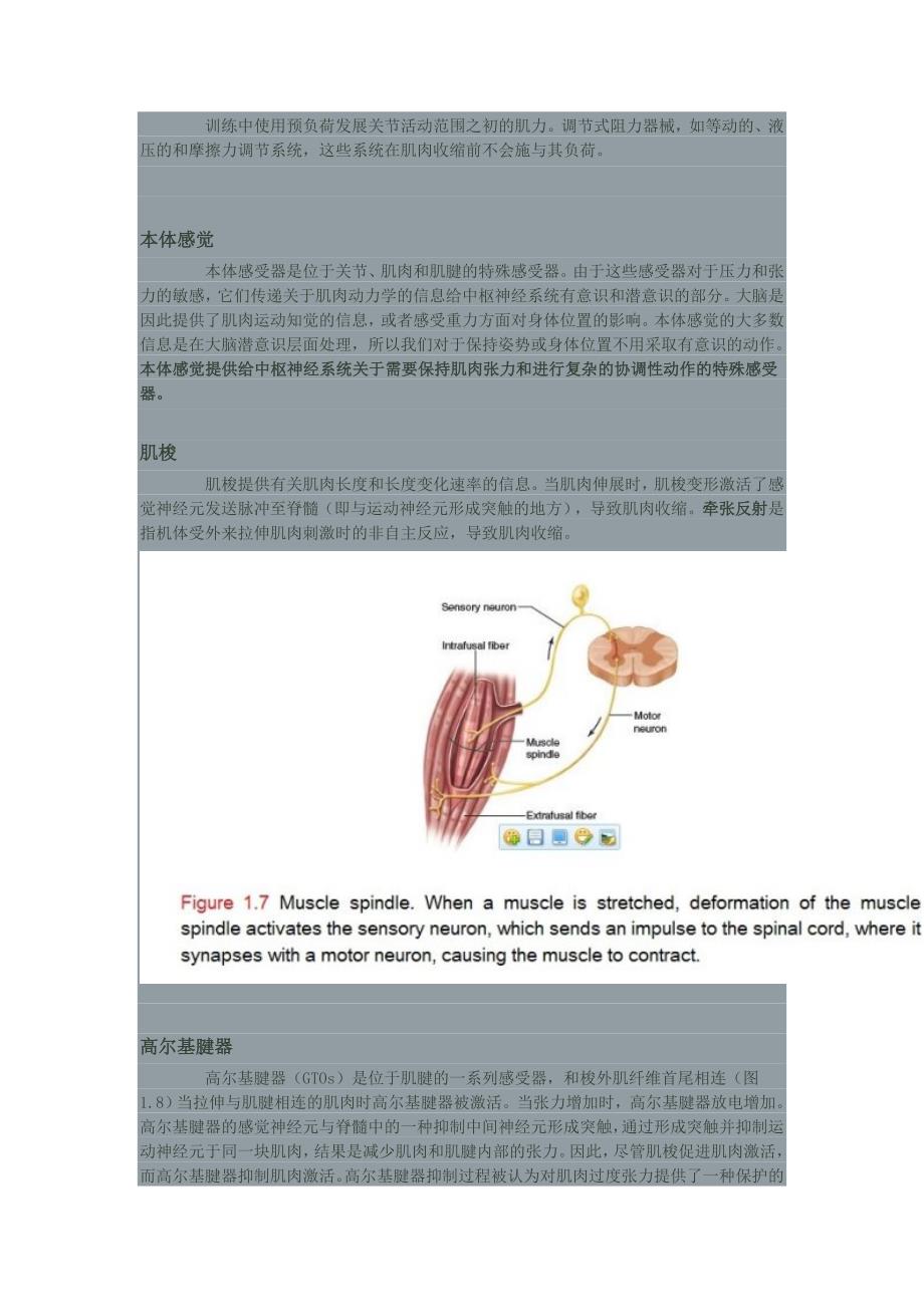 神经肌肉系统.doc_第4页