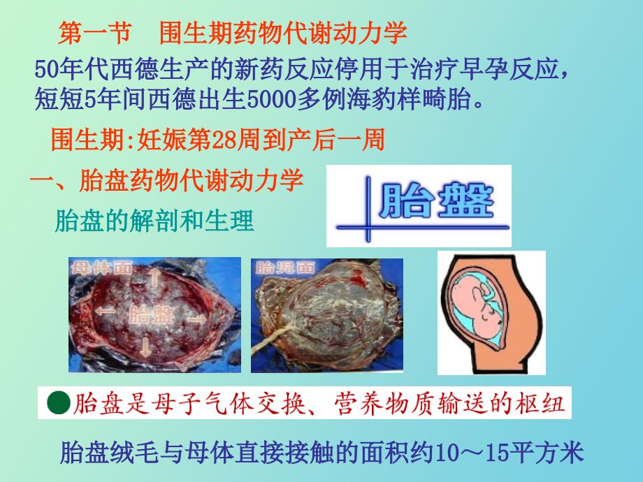 围生期药理学_第2页