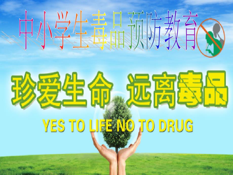 中学生禁毒教育课件.(主题班会)_第1页